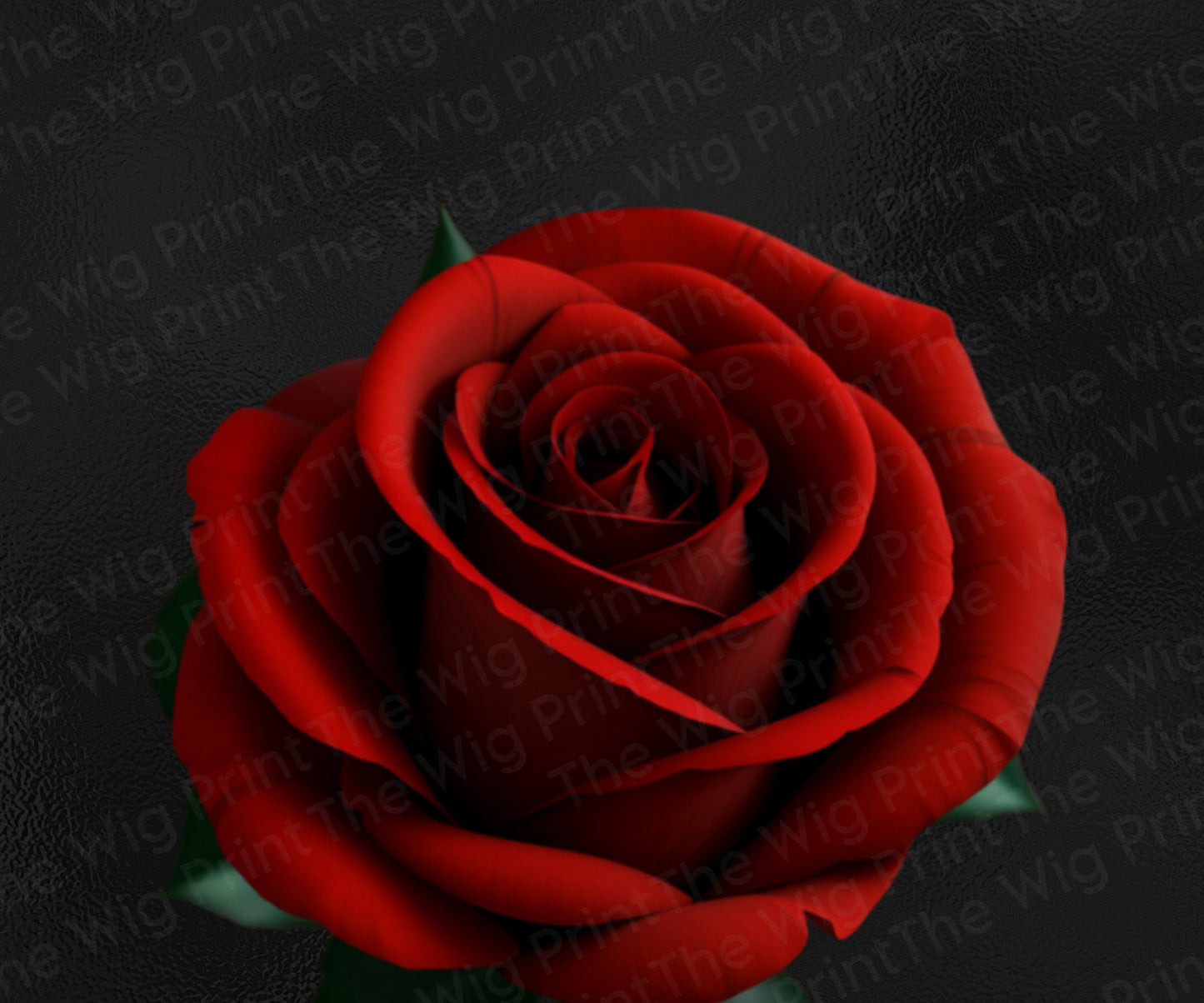 Red Rose Clip Art | Ai Generated | PNG | 16 pieces | Transparent Background | Design Elements